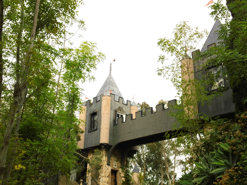 The Hollywood Castle
